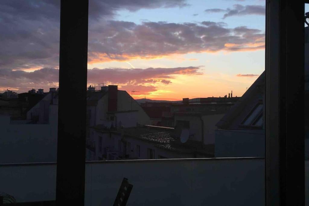 Rooftop In And Over Viena